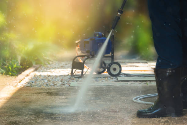Best Roof Cleaning and Mildew Removal in Fairmont, WV